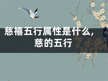慈禧五行属性是什么,慈的五行