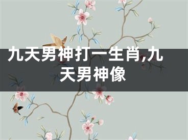 九天男神打一生肖,九天男神像