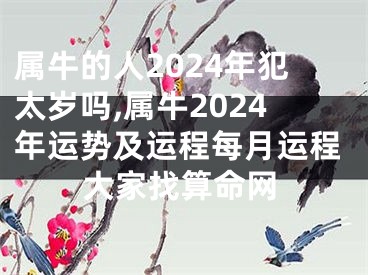 属牛的人2024年犯太岁吗,属牛2024年运势及运程每月运程大家找算命网