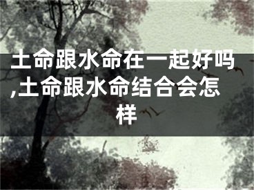 土命跟水命在一起好吗,土命跟水命结合会怎样