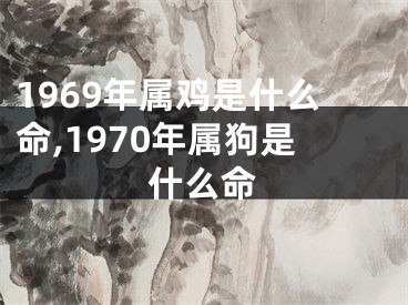 1969年属鸡是什么命,1970年属狗是什么命