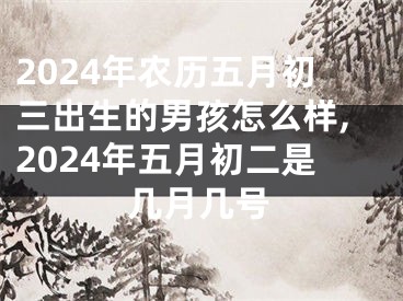 2024年农历五月初三出生的男孩怎么样,2024年五月初二是几月几号