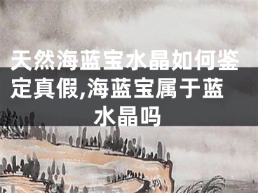 天然海蓝宝水晶如何鉴定真假,海蓝宝属于蓝水晶吗