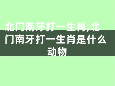 北门南牙打一生肖,北门南牙打一生肖是什么动物
