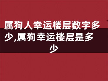 属狗人幸运楼层数字多少,属狗幸运楼层是多少