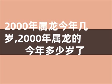 2000年属龙今年几岁,2000年属龙的今年多少岁了