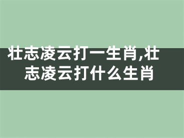 壮志凌云打一生肖,壮志凌云打什么生肖
