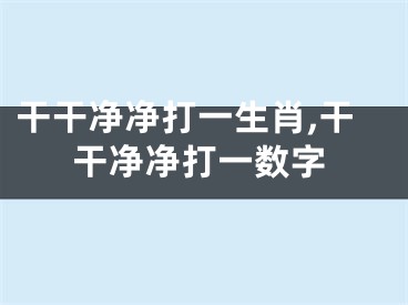 干干净净打一生肖,干干净净打一数字