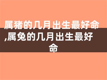 属猪的几月出生最好命,属兔的几月出生最好命