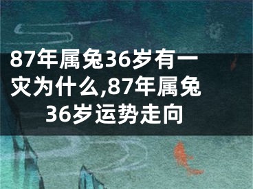 87年属兔36岁有一灾为什么,87年属兔36岁运势走向