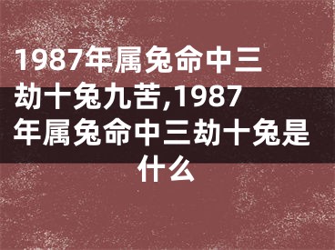 1987年属兔命中三劫十兔九苦,1987年属兔命中三劫十兔是什么