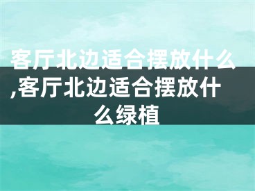 客厅北边适合摆放什么,客厅北边适合摆放什么绿植