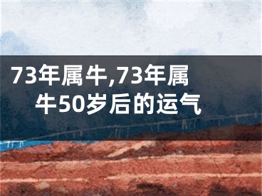 73年属牛,73年属牛50岁后的运气