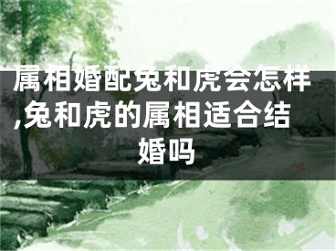 属相婚配兔和虎会怎样,兔和虎的属相适合结婚吗