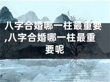 八字合婚哪一柱最重要,八字合婚哪一柱最重要呢