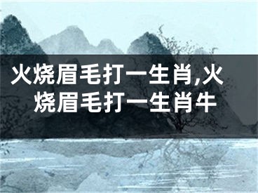 火烧眉毛打一生肖,火烧眉毛打一生肖牛