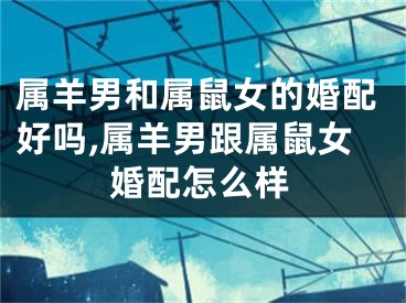 属羊男和属鼠女的婚配好吗,属羊男跟属鼠女婚配怎么样