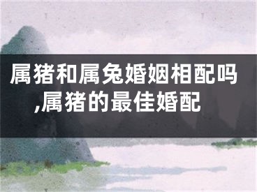 属猪和属兔婚姻相配吗,属猪的最佳婚配