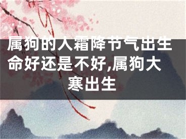 属狗的人霜降节气出生命好还是不好,属狗大寒出生