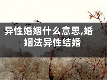 异性婚姻什么意思,婚姻法异性结婚