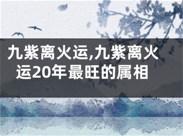 九紫离火运,九紫离火运20年最旺的属相