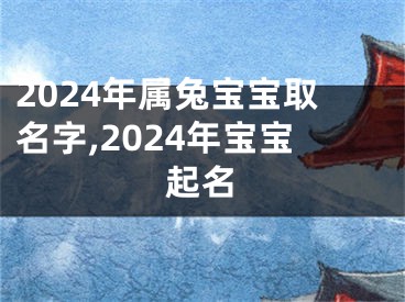 2024年属兔宝宝取名字,2024年宝宝起名