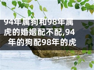 94年属狗和98年属虎的婚姻配不配,94年的狗配98年的虎