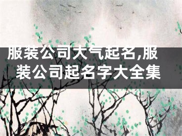 服装公司大气起名,服装公司起名字大全集