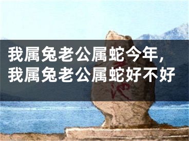 我属兔老公属蛇今年,我属兔老公属蛇好不好