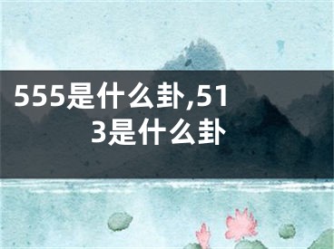 555是什么卦,513是什么卦