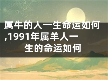 属牛的人一生命运如何,1991年属羊人一生的命运如何