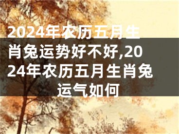 2024年农历五月生肖兔运势好不好,2024年农历五月生肖兔运气如何