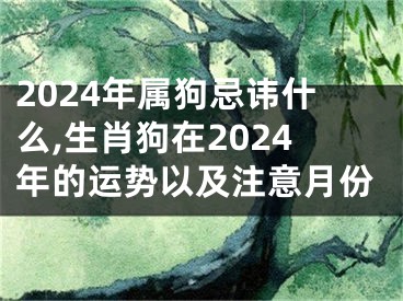 2024年属狗忌讳什么,生肖狗在2024年的运势以及注意月份