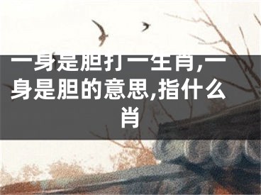 一身是胆打一生肖,一身是胆的意思,指什么肖