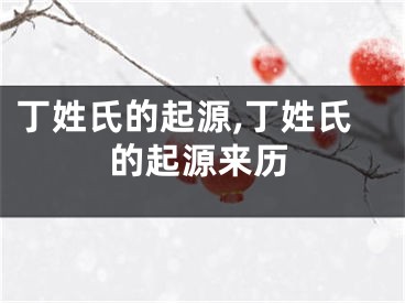 丁姓氏的起源,丁姓氏的起源来历