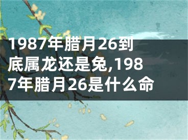 1987年腊月26到底属龙还是兔,1987年腊月26是什么命