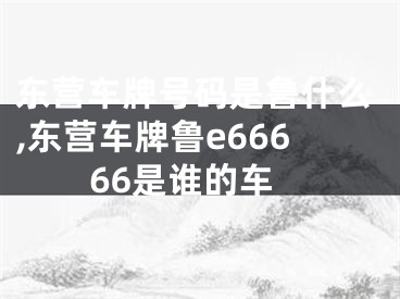 东营车牌号码是鲁什么,东营车牌鲁e66666是谁的车