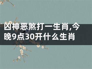 凶神恶煞打一生肖,今晚9点30开什么生肖