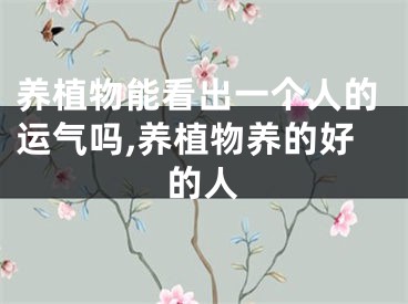 养植物能看出一个人的运气吗,养植物养的好的人