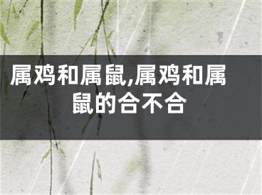 属鸡和属鼠,属鸡和属鼠的合不合