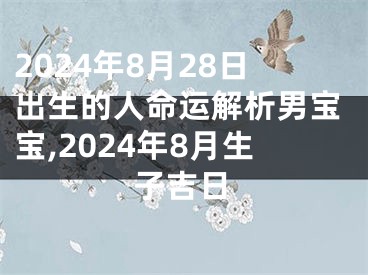 2024年8月28日出生的人命运解析男宝宝,2024年8月生子吉日