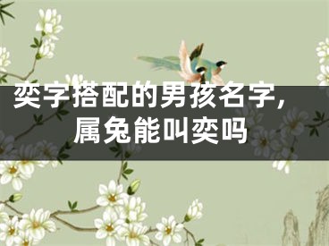 奕字搭配的男孩名字,属兔能叫奕吗