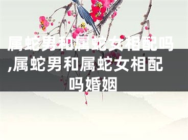 属蛇男和属蛇女相配吗,属蛇男和属蛇女相配吗婚姻