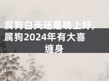 属狗白天还是晚上好,属狗2024年有大喜缠身