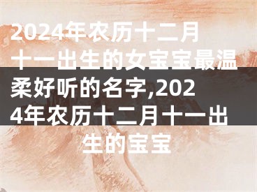 2024年农历十二月十一出生的女宝宝最温柔好听的名字,2024年农历十二月十一出生的宝宝