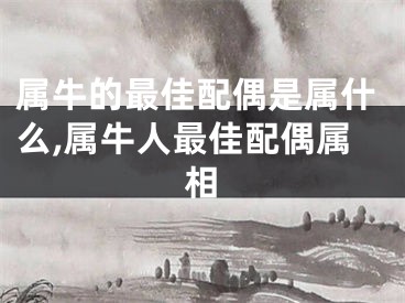 属牛的最佳配偶是属什么,属牛人最佳配偶属相