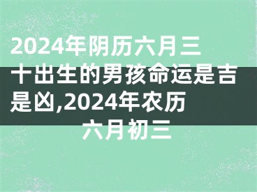2024年阴历六月三十出生的男孩命运是吉是凶,2024年农历六月初三