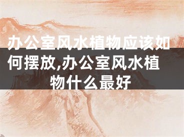 办公室风水植物应该如何摆放,办公室风水植物什么最好