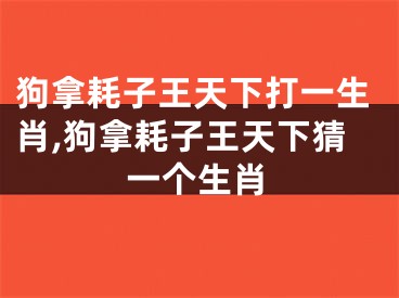 狗拿耗子王天下打一生肖,狗拿耗子王天下猜一个生肖