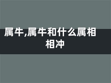 属牛,属牛和什么属相相冲